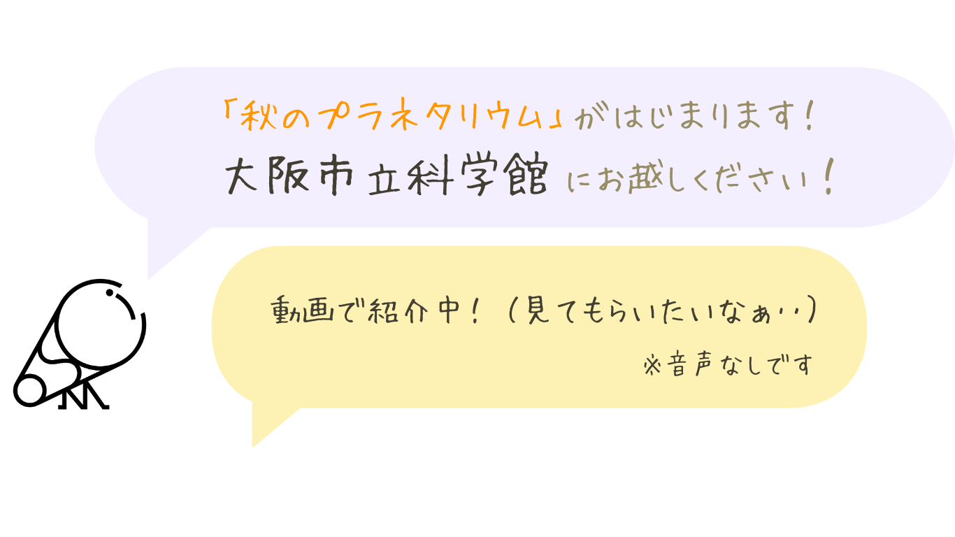動画で紹介中