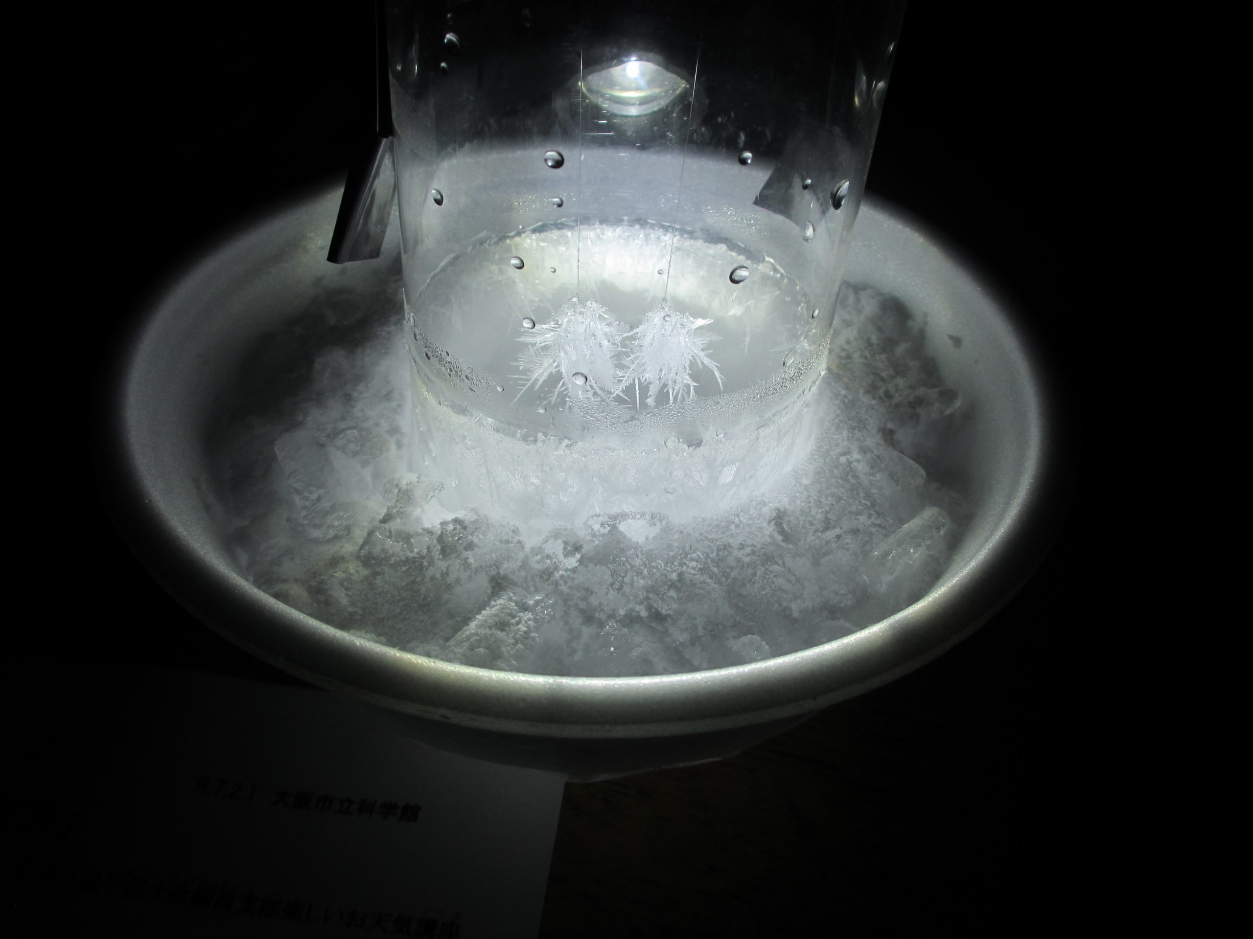 楽しいお天気講座「雪の結晶を作ろう」